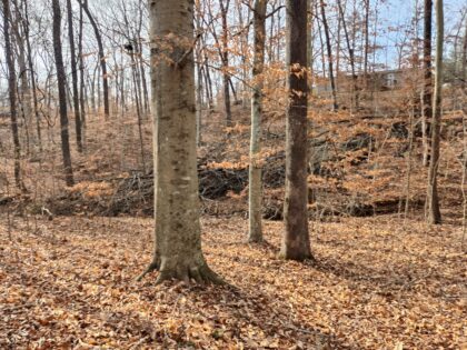 Walnut Drive, Cadiz KY Property for Sale